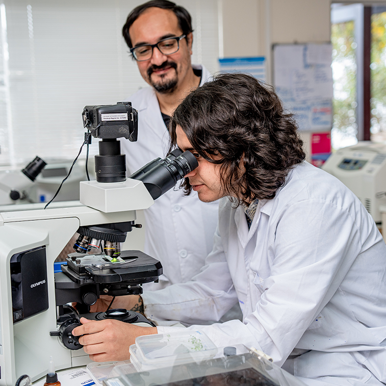 Ingeniería en Biotecnología